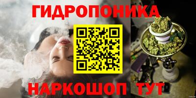 прущие крисы Гусиноозёрск