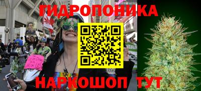 прущие крисы Гусиноозёрск