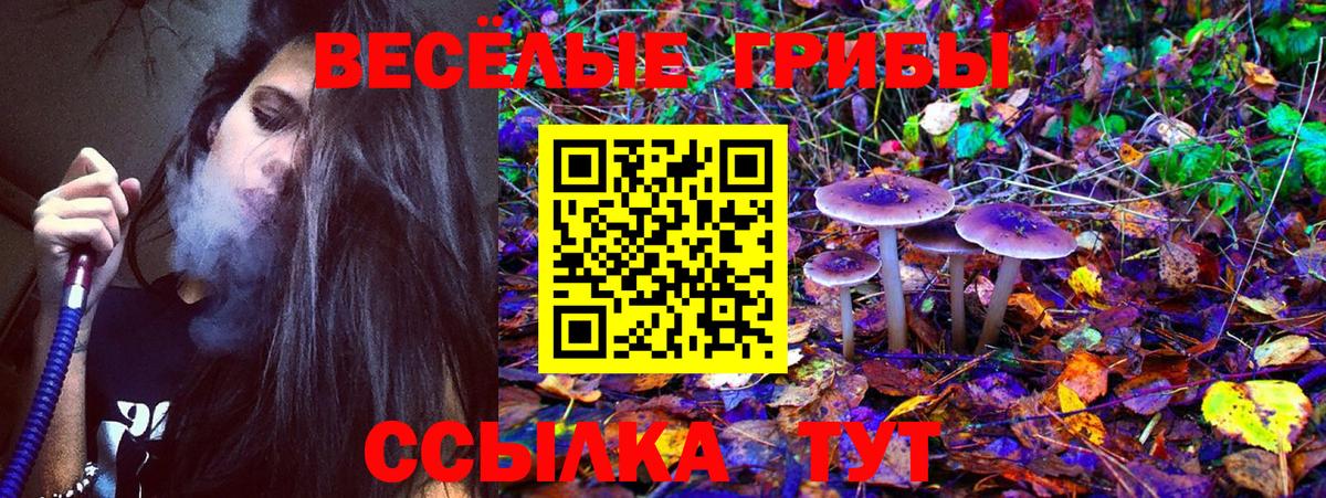 Галлюциногенные грибы GOLDEN TEACHER  Вход с VPN  Муравленко 